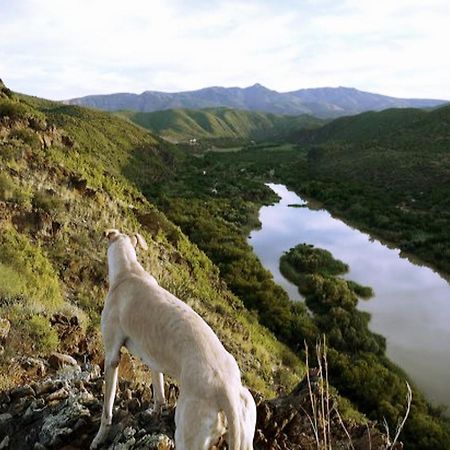 River View Cottages Calitzdorp Dış mekan fotoğraf